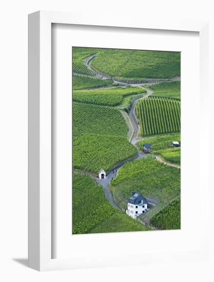 Vineyards, Bernkastel-Kues, Rhineland-Palatinate, Germany-Ian Trower-Framed Photographic Print