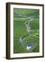 Vineyards, Bernkastel-Kues, Rhineland-Palatinate, Germany-Ian Trower-Framed Photographic Print