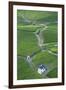 Vineyards, Bernkastel-Kues, Rhineland-Palatinate, Germany-Ian Trower-Framed Photographic Print