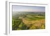 Vineyards Between Baden Bei Wien and Gumpoldskirchen, Vienna Basin, Lower Austria, Austria-Rainer Mirau-Framed Photographic Print