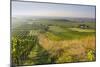 Vineyards Between Baden Bei Wien and Gumpoldskirchen, Vienna Basin, Lower Austria, Austria-Rainer Mirau-Mounted Photographic Print