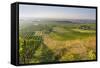 Vineyards Between Baden Bei Wien and Gumpoldskirchen, Vienna Basin, Lower Austria, Austria-Rainer Mirau-Framed Stretched Canvas