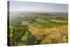 Vineyards Between Baden Bei Wien and Gumpoldskirchen, Vienna Basin, Lower Austria, Austria-Rainer Mirau-Stretched Canvas