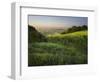 Vineyards Between Baden Bei Wien and Gumpoldskirchen, Vienna Basin, Lower Austria, Austria-Rainer Mirau-Framed Photographic Print