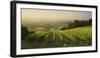 Vineyards Between Baden Bei Wien and Gumpoldskirchen, Vienna Basin, Lower Austria, Austria-Rainer Mirau-Framed Photographic Print