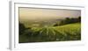 Vineyards Between Baden Bei Wien and Gumpoldskirchen, Vienna Basin, Lower Austria, Austria-Rainer Mirau-Framed Photographic Print