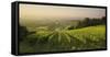 Vineyards Between Baden Bei Wien and Gumpoldskirchen, Vienna Basin, Lower Austria, Austria-Rainer Mirau-Framed Stretched Canvas