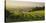 Vineyards Between Baden Bei Wien and Gumpoldskirchen, Vienna Basin, Lower Austria, Austria-Rainer Mirau-Stretched Canvas