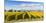 Vineyards, Blenheim, Marlborough, South Island, New Zealand-Matteo Colombo-Mounted Photographic Print