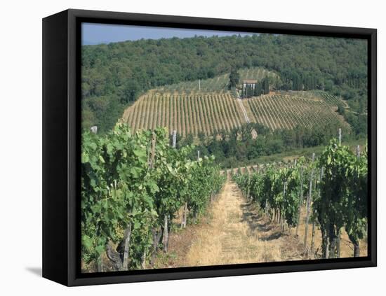 Vineyards, Chianti, Tuscany, Italy, Europe-Sergio Pitamitz-Framed Stretched Canvas