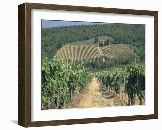 Vineyards, Chianti, Tuscany, Italy, Europe-Sergio Pitamitz-Framed Photographic Print