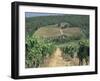 Vineyards, Chianti, Tuscany, Italy, Europe-Sergio Pitamitz-Framed Photographic Print