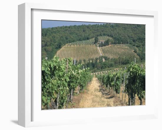 Vineyards, Chianti, Tuscany, Italy, Europe-Sergio Pitamitz-Framed Photographic Print