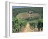 Vineyards, Chianti, Tuscany, Italy, Europe-Sergio Pitamitz-Framed Photographic Print