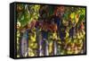 Vineyards Draping Hillsides Near Monte Falco-Terry Eggers-Framed Stretched Canvas