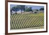 Vineyards Draping Hillsides Near Monte Falco-Terry Eggers-Framed Photographic Print