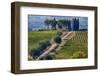 Vineyards Draping Hillsides Near Monte Falco-Terry Eggers-Framed Photographic Print