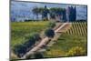 Vineyards Draping Hillsides Near Monte Falco-Terry Eggers-Mounted Photographic Print