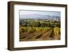 Vineyards Draping Hillsides-Terry Eggers-Framed Photographic Print