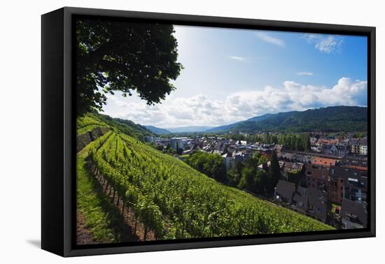 Vineyards, Freiburg, Baden-Wurttemberg, Germany, Europe-Christian Kober-Framed Stretched Canvas