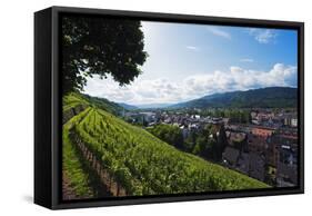 Vineyards, Freiburg, Baden-Wurttemberg, Germany, Europe-Christian Kober-Framed Stretched Canvas