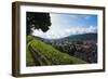 Vineyards, Freiburg, Baden-Wurttemberg, Germany, Europe-Christian Kober-Framed Photographic Print