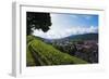 Vineyards, Freiburg, Baden-Wurttemberg, Germany, Europe-Christian Kober-Framed Photographic Print