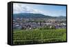 Vineyards, Freiburg, Baden-Wurttemberg, Germany, Europe-Christian Kober-Framed Stretched Canvas