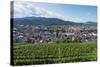 Vineyards, Freiburg, Baden-Wurttemberg, Germany, Europe-Christian Kober-Stretched Canvas