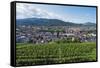 Vineyards, Freiburg, Baden-Wurttemberg, Germany, Europe-Christian Kober-Framed Stretched Canvas