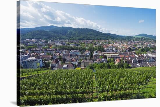 Vineyards, Freiburg, Baden-Wurttemberg, Germany, Europe-Christian Kober-Stretched Canvas