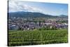 Vineyards, Freiburg, Baden-Wurttemberg, Germany, Europe-Christian Kober-Stretched Canvas