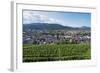 Vineyards, Freiburg, Baden-Wurttemberg, Germany, Europe-Christian Kober-Framed Photographic Print