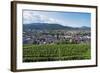 Vineyards, Freiburg, Baden-Wurttemberg, Germany, Europe-Christian Kober-Framed Photographic Print