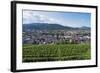 Vineyards, Freiburg, Baden-Wurttemberg, Germany, Europe-Christian Kober-Framed Photographic Print