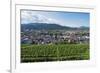 Vineyards, Freiburg, Baden-Wurttemberg, Germany, Europe-Christian Kober-Framed Photographic Print