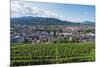 Vineyards, Freiburg, Baden-Wurttemberg, Germany, Europe-Christian Kober-Mounted Photographic Print