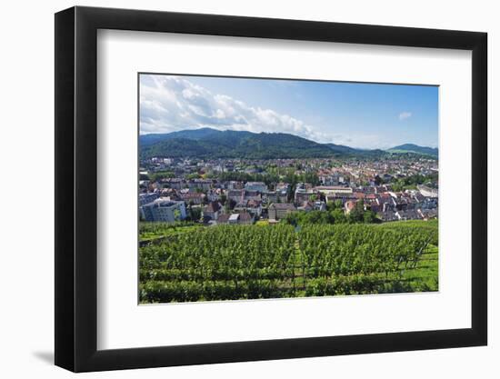 Vineyards, Freiburg, Baden-Wurttemberg, Germany, Europe-Christian Kober-Framed Photographic Print