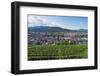 Vineyards, Freiburg, Baden-Wurttemberg, Germany, Europe-Christian Kober-Framed Photographic Print