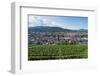 Vineyards, Freiburg, Baden-Wurttemberg, Germany, Europe-Christian Kober-Framed Photographic Print