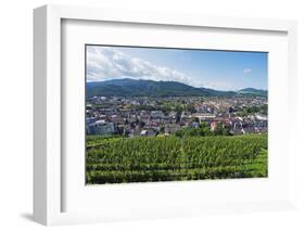 Vineyards, Freiburg, Baden-Wurttemberg, Germany, Europe-Christian Kober-Framed Photographic Print