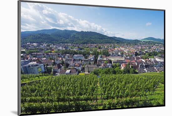 Vineyards, Freiburg, Baden-Wurttemberg, Germany, Europe-Christian Kober-Mounted Photographic Print