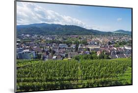 Vineyards, Freiburg, Baden-Wurttemberg, Germany, Europe-Christian Kober-Mounted Photographic Print