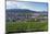 Vineyards, Freiburg, Baden-Wurttemberg, Germany, Europe-Christian Kober-Mounted Photographic Print