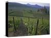 Vineyards, Hunawihr, Alsace, France-Guy Thouvenin-Stretched Canvas