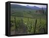 Vineyards, Hunawihr, Alsace, France-Guy Thouvenin-Framed Stretched Canvas