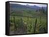 Vineyards, Hunawihr, Alsace, France-Guy Thouvenin-Framed Stretched Canvas