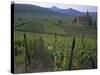 Vineyards, Hunawihr, Alsace, France-Guy Thouvenin-Stretched Canvas