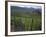 Vineyards, Hunawihr, Alsace, France-Guy Thouvenin-Framed Photographic Print