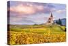 Vineyards, Hunawihr, Alsace, France-Matteo Colombo-Stretched Canvas